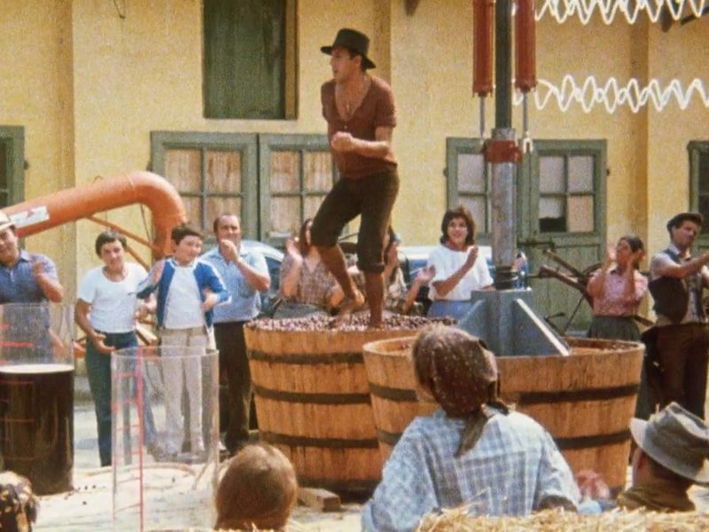 09e9c062-71ee-11e7-a7f9-6e714efd800d.800